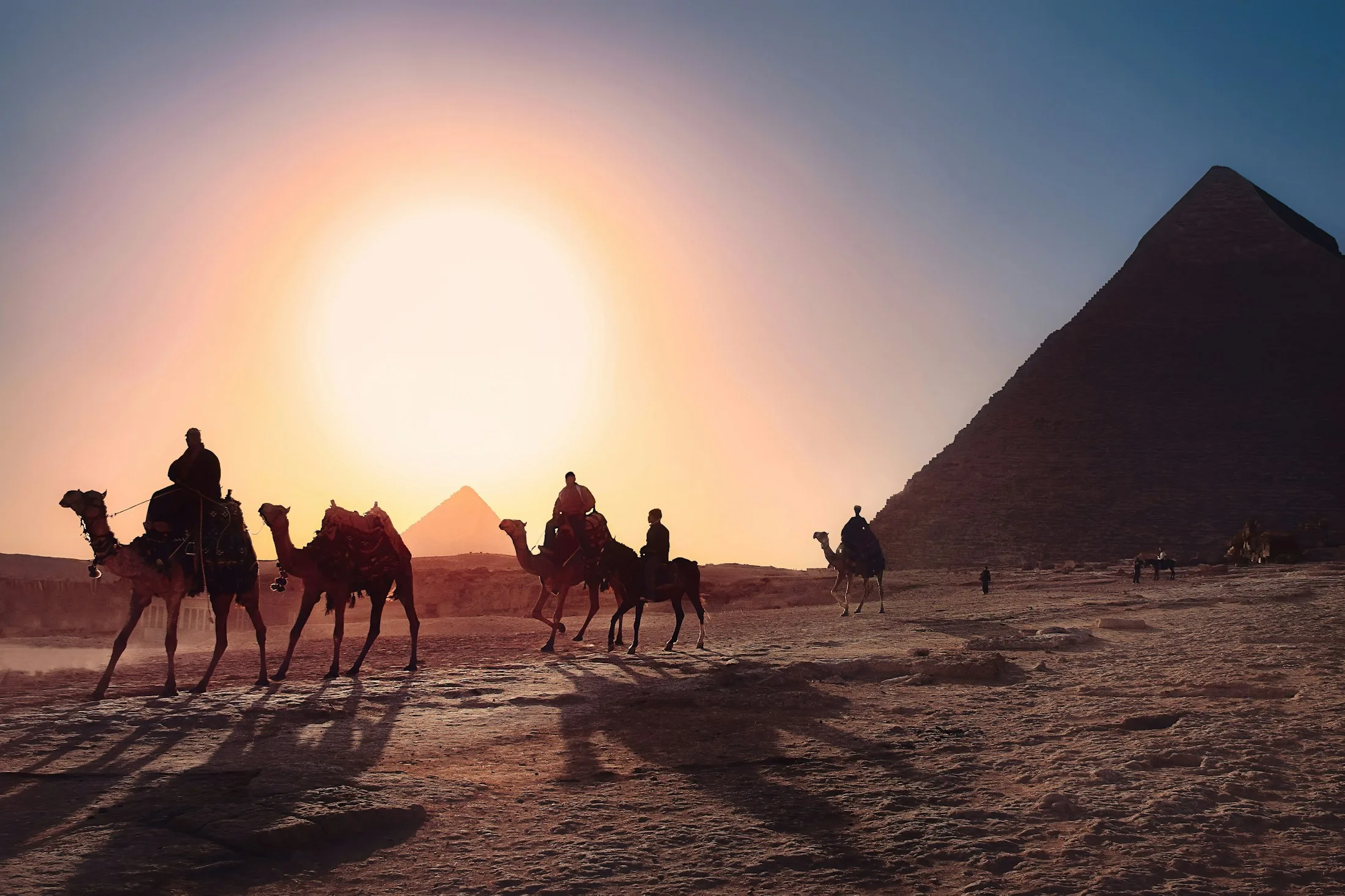Nile cruises